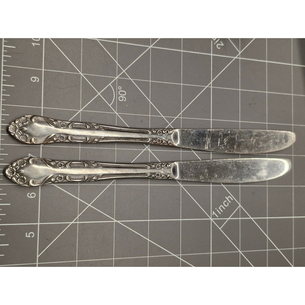 Vintage Floral Silverplate Dinner Knives Set of 2 Ornate Scrolled Handle 9 inch